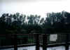 Field Office (have).jpg (66099 byte)
