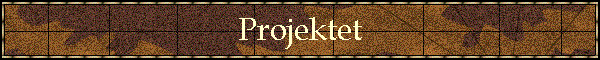 Projektet