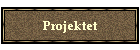 Projektet