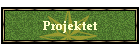 Projektet