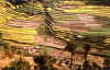 pic12.JPG (49328 byte)