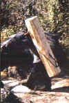 pic6.JPG (38690 byte)